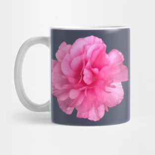 Pink Ranunculus Close-up Pic Mug